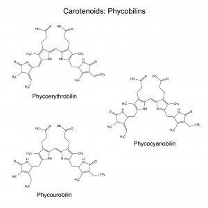 Structural chemical formulas of plant pigments - carotenoids 